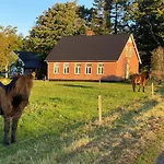 Hyggelig Aftaegtsbolig I Hjertet Af Sonderjylland *
