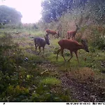 Hyggelig Aftaegtsbolig I Hjertet Af Sonderjylland