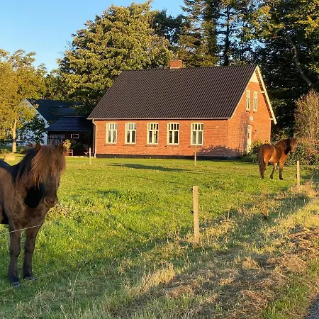 Hyggelig Aftaegtsbolig I Hjertet Af Sonderjylland *