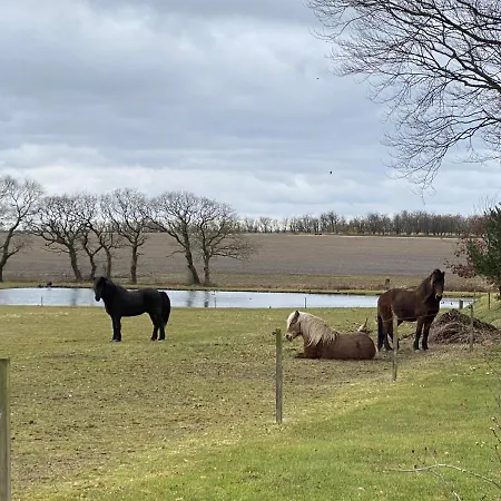 Hyggelig Aftaegtsbolig I Hjertet Af Sonderjylland Holiday home
