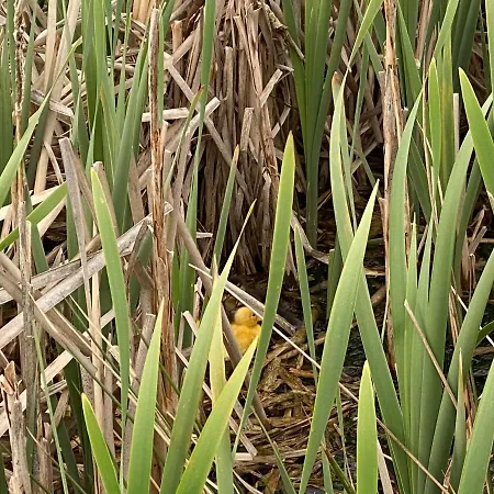 Casa vacanze Hyggelig Aftaegtsbolig I Hjertet Af Sonderjylland