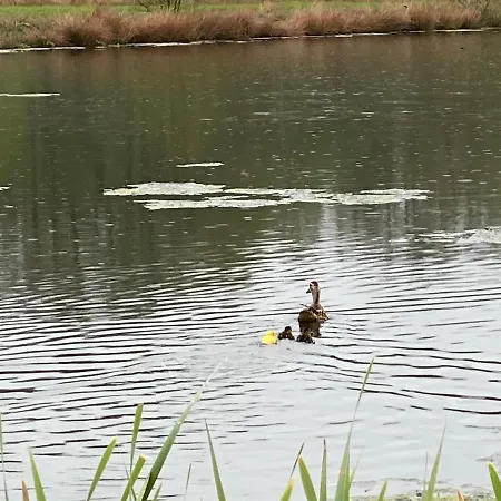 Holiday home Hyggelig Aftaegtsbolig I Hjertet Af Sonderjylland