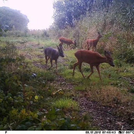Hyggelig Aftaegtsbolig I Hjertet Af Sonderjylland