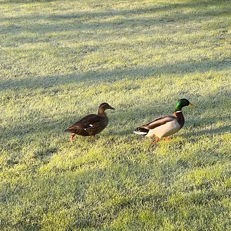 Hyggelig Aftaegtsbolig I Hjertet Af Sonderjylland Branderup