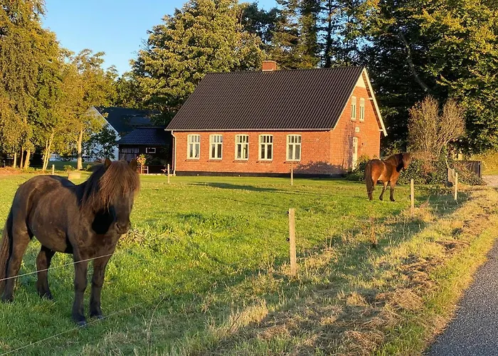Hyggelig Aftaegtsbolig I Hjertet Af Sonderjylland *