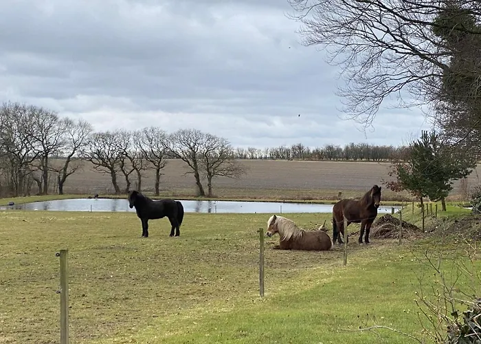 Hyggelig Aftaegtsbolig I Hjertet Af Sonderjylland Vakantiehuis