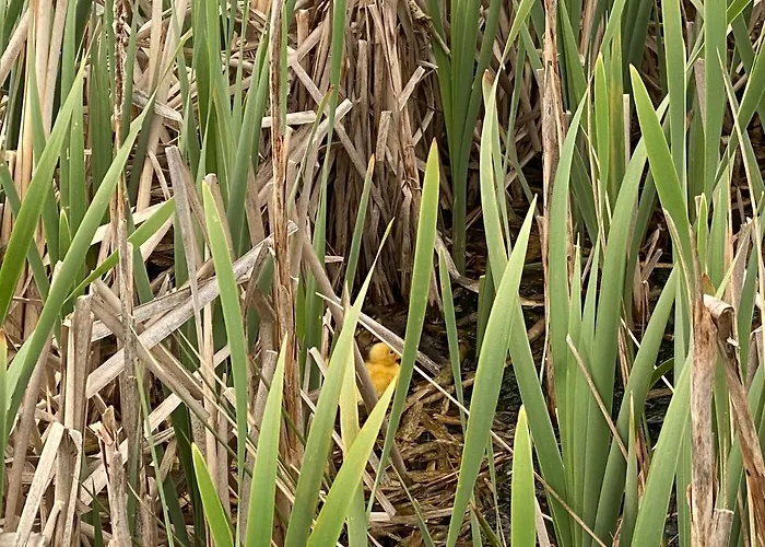Сasa de vacaciones Hyggelig Aftaegtsbolig I Hjertet Af Sonderjylland