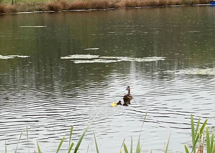 Сasa de vacaciones Hyggelig Aftaegtsbolig I Hjertet Af Sonderjylland