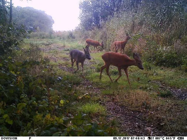 Hyggelig Aftaegtsbolig I Hjertet Af Sonderjylland